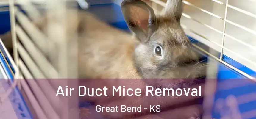 Air Duct Mice Removal Great Bend - KS