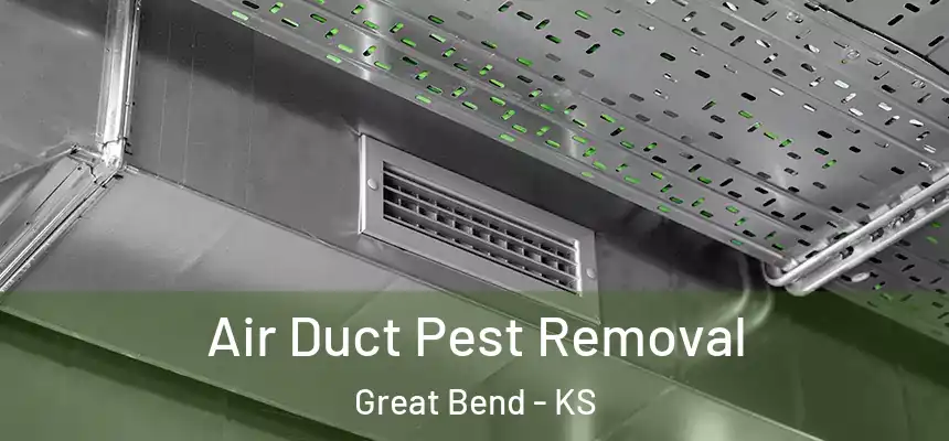 Air Duct Pest Removal Great Bend - KS