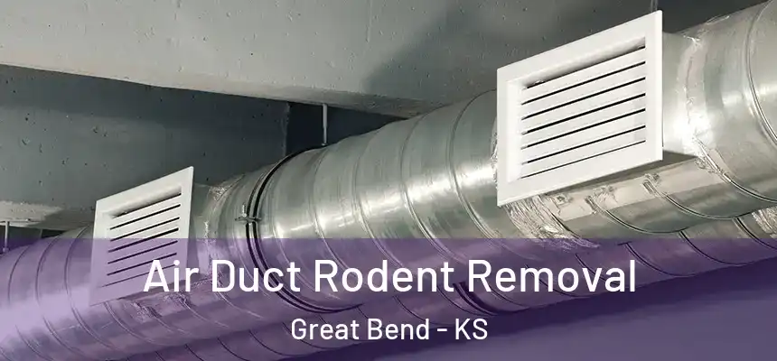 Air Duct Rodent Removal Great Bend - KS