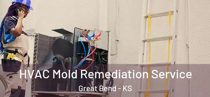 HVAC Mold Remediation Service Great Bend - KS