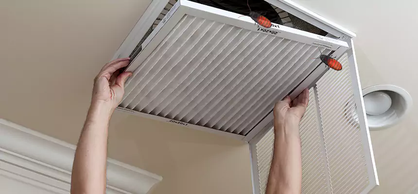 Preventive Cockroach-Proofing for Ducts in Great Bend