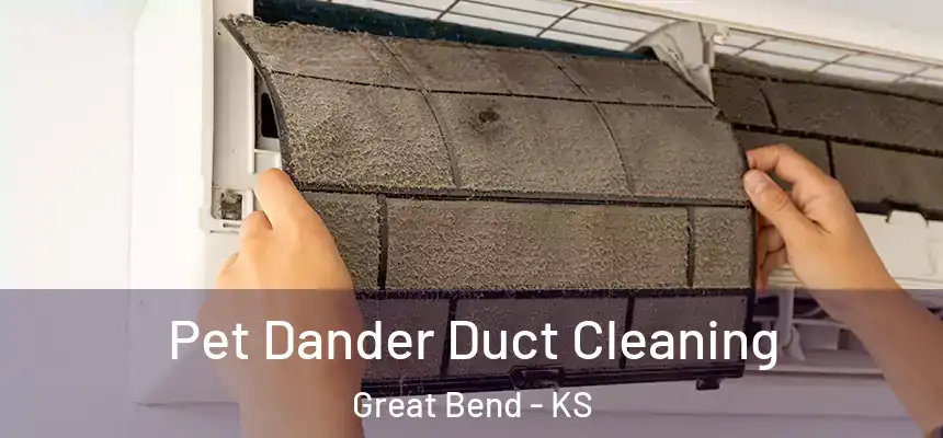 Pet Dander Duct Cleaning Great Bend - KS