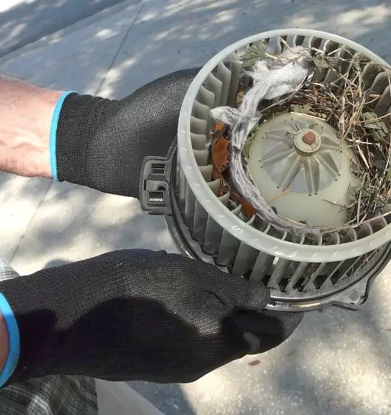 About Air Duct Mice Removal in Great Bend, KS