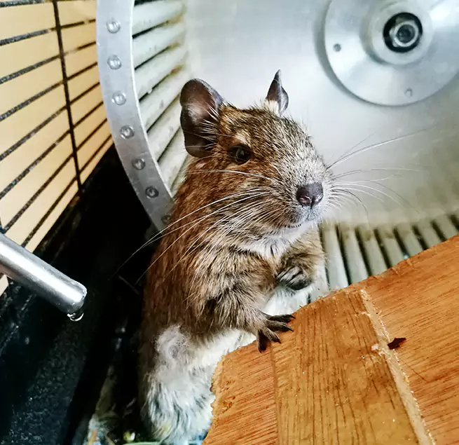 Why Homeowners & Businesses Trust Us Great Bend, KS